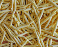 Maccheroncini also known as Maccheroni al ferretto, is a typical pasta of Calabrian tradition widespread in many southern regions. Close up view of handmade italian pasta on a wooden table.
