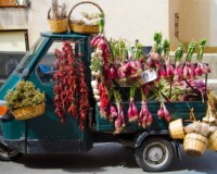 Many villages around Tropea produce a particular quality of red onion. In Italy these onions are so famous that cipolla di Tropea ("Tropea onion" or "Tropea's onion") has become an Italian synonym for