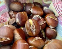 Wonderful roasted chestnuts from the Calabrian Sila