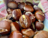 Wonderful roasted chestnuts from the Calabrian Sila